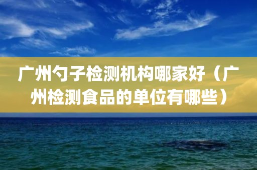 广州勺子检测机构哪家好（广州检测食品的单位有哪些）